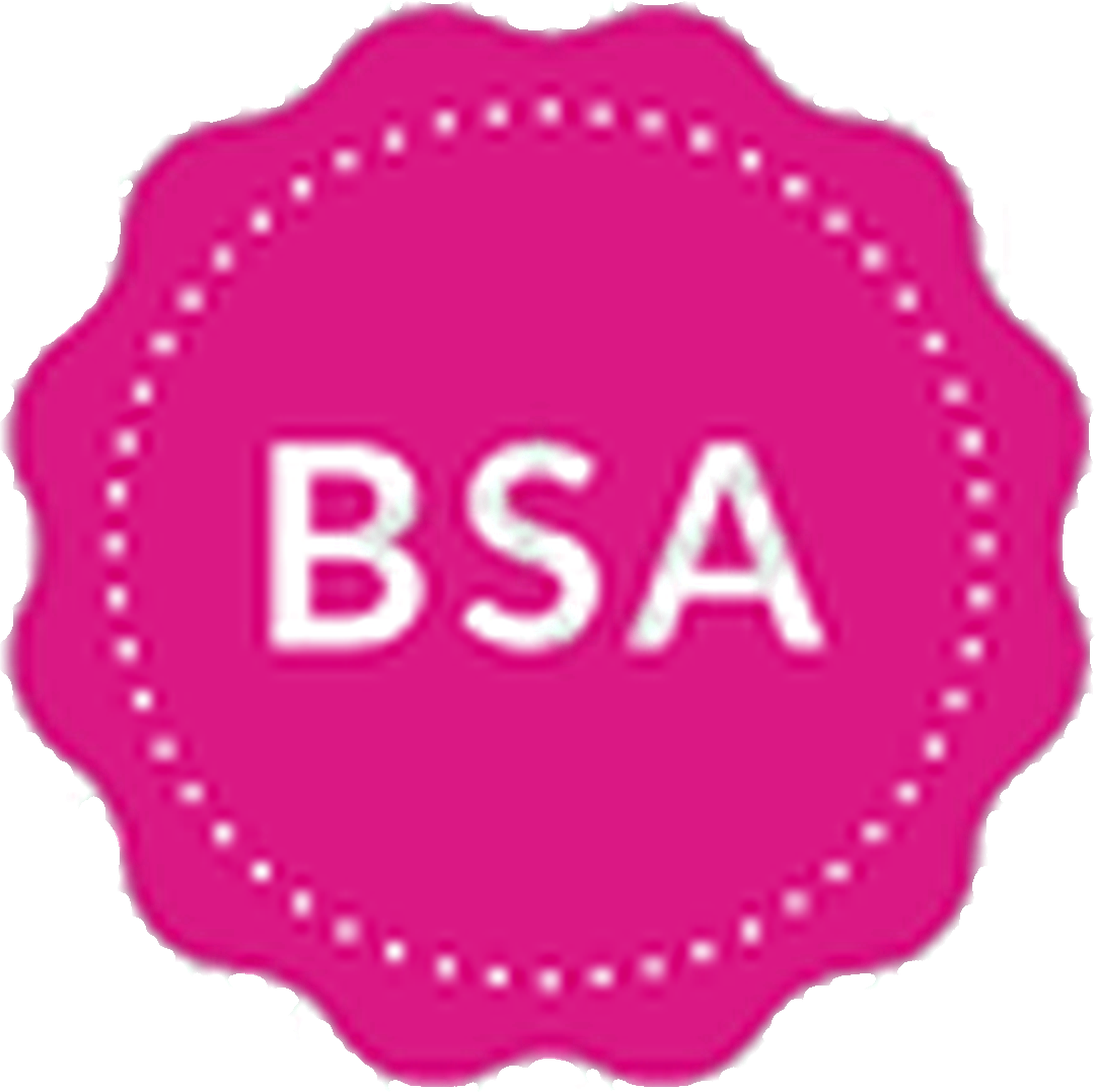 BSA — Standard Construction